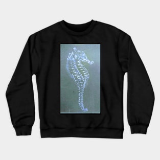 Sea horse Crewneck Sweatshirt